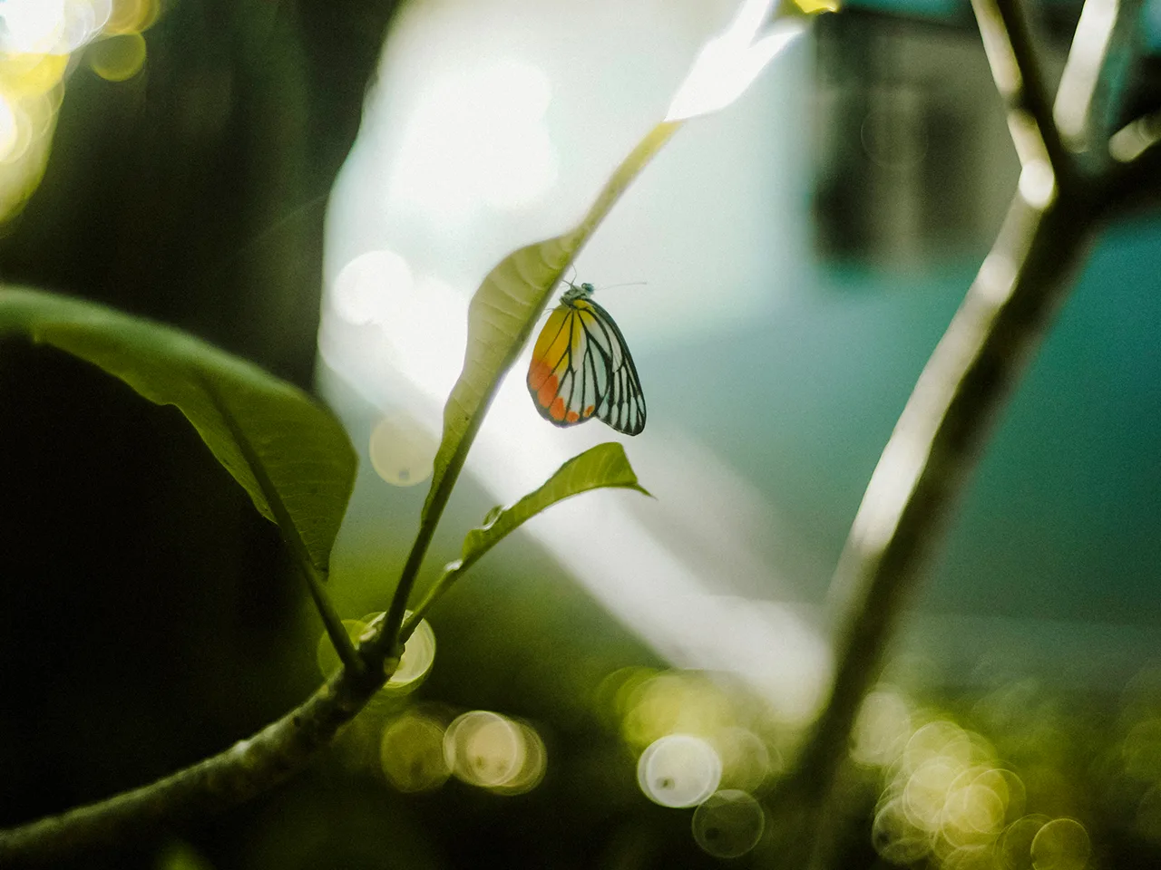 image caroussel 1280x960 010